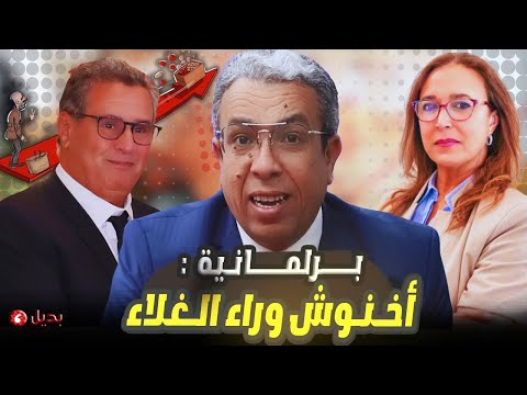 حوار// البرلمانية التامني: أخنوش ووزراؤه يشرعون لمصالحهم  الخاصة وليس للشعب المغربي