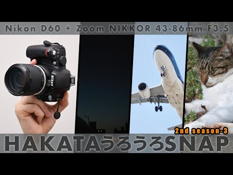 国産ズームレンズの始祖・Ai Zoom NIKKOR 43-86mm F3.5 × Nikon D60 [ 一日一撮・博多うろうろSNAP 2nd season ep-3 ]