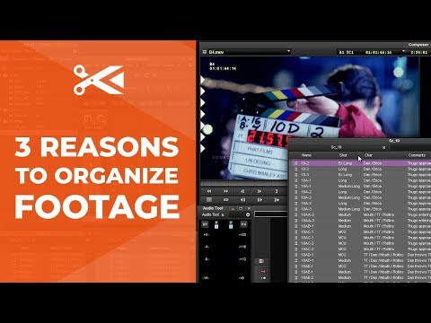 Editing Project Organization: 3 Reasons to NOT Skip This Step!