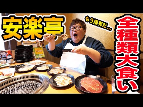 【大食い】安楽亭の焼肉全種類大食いに挑戦したら限界すぎたwww