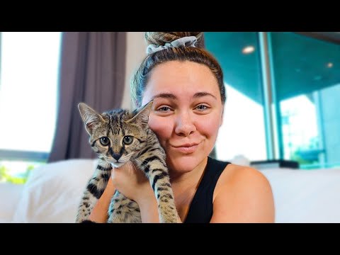 SURPRISING GIRLFRIEND WITH A KITTEN!!