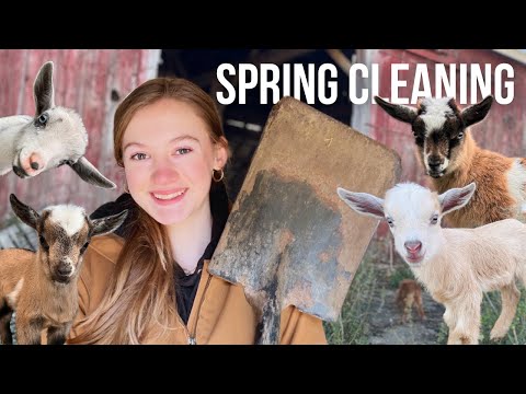 Spring Cleaning the Barn for BABY GOATS