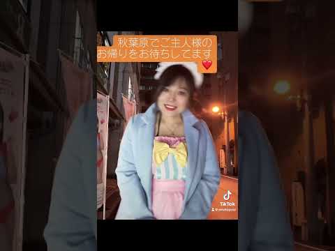 コンカフェでメイドをするグラドル #tiktok