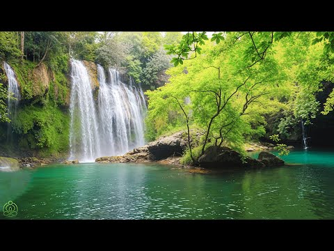 Beautiful Relaxing Music - Stop Overthinking, Stress Relief Music, Sleep Music, Calming Music #116