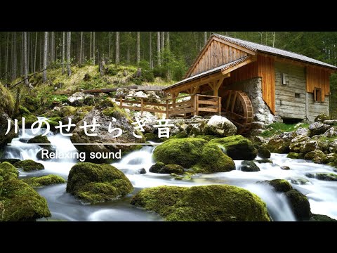 【自然の音】川のせせらぎ・鳥のさえずり・作業用BGM・夏の音・｜Water wheel