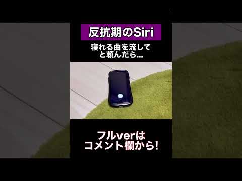 Siriに寝れる曲を流してと頼んだ結果泣 #shorts #siri