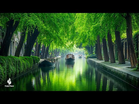 Good relaxing music to reduce stress🌿 Soothing The Heart With Gentle Melodies