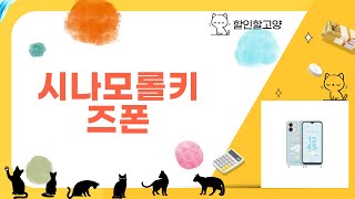 시나모롤 키즈폰 리뷰 - 귀여운 디자인과 기능을 살펴보자!