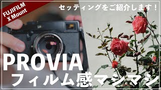 X-Pro2とPROVIAでフィルム感マシマシスナップを撮ってきたのでカスタマイズをご紹介します。