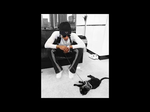 [FREE] (PIANO) NBA YoungBoy x No Cap Type Beat 2023 - Soul Reign | Soul Type Beat