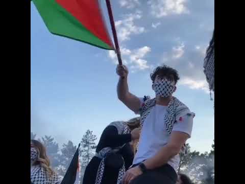 Palestine Me Jeet Ka Jashn 🇸🇩 Israeil Ki Har 😊 Palestine Whatsapp Status #Palestine #Win #Short