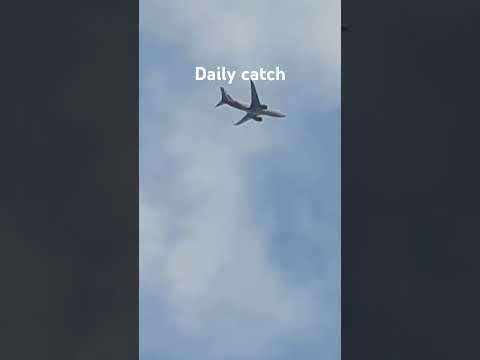 Daily catch part 1#airplane