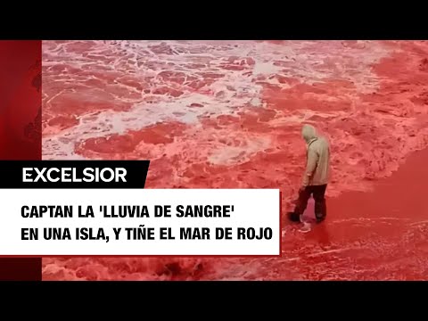 Captan la 'lluvia de sangre' en una isla, y tiñe el mar de rojo