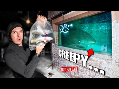 BUYING ALL The CREEPY FISH Off The WEB...