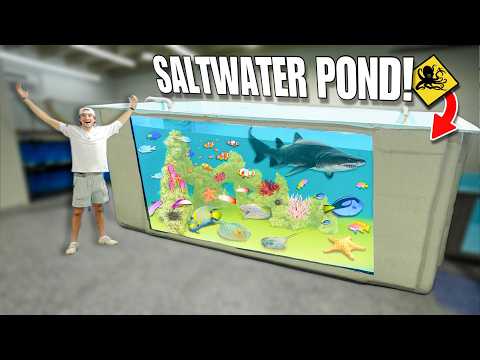 Our DREAM 3,000G SALTWATER POND is COMPLETE at the FISH WAREHOUSE!