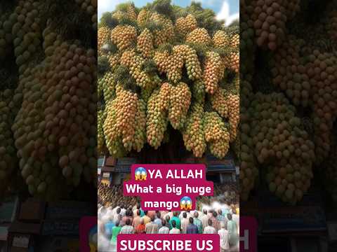 😱YA ALLAH What a big huge mango😱|Viral Shorts Videos #Shorts