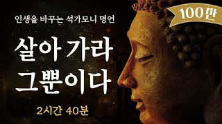 잠 잘때 들으면 인생이 바뀌는 석가모니 명언 모음집 2시간 40분 | 부처님 진리의 말씀  불교명언