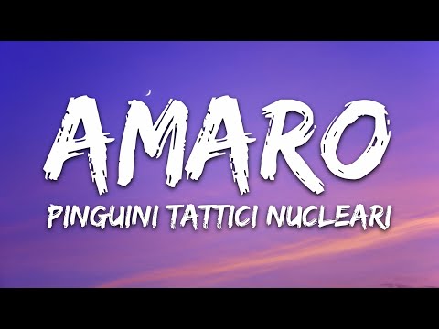 Pinguini Tattici Nucleari - Amaro (Testo/Lyrics)