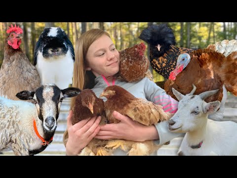 HOME ALONE with 50+ FARM ANIMALS!