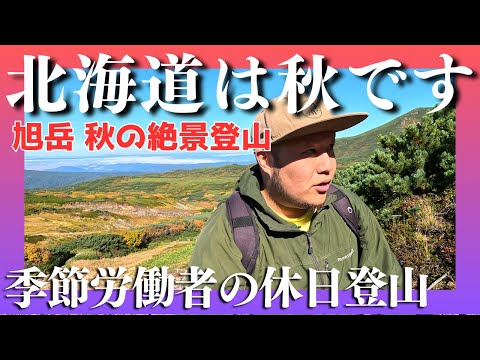 【紅葉登山】チングルマを求めて！季節労働者の休日登山【北海道旭岳】