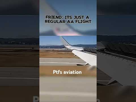 Just a normal AA flight? #airplane #shorts #viralvideo #ptfsaviation #fyp