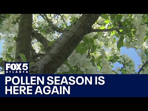 Welcome to pollen season | FOX 5 News