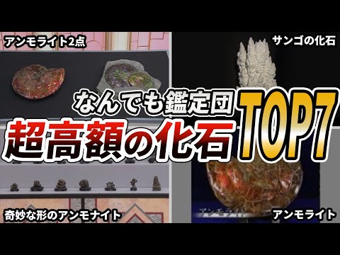 【なんでも鑑定団】ありえない査定額がついた化石TOP7