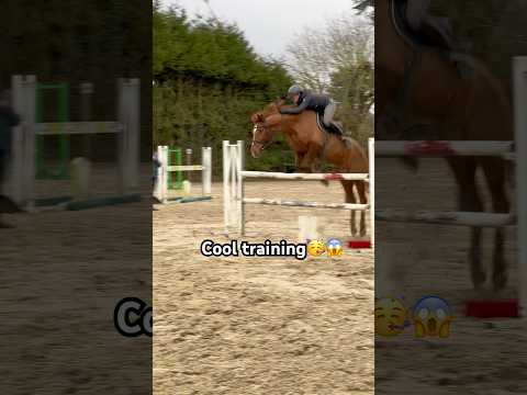 Cool Training#trending #france #equestrian #horse #horseriding #fyp #viralshorts #foryou #foryoupage