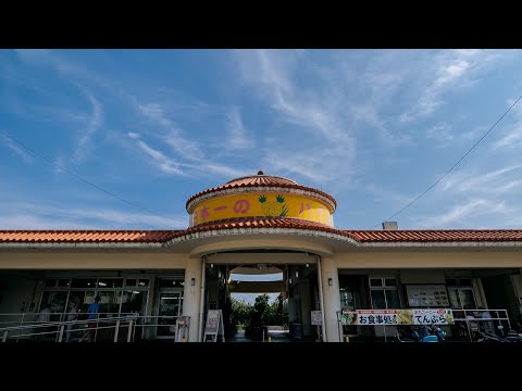 【島さんぽ】【やんばる】【道の駅】東村 沖縄の海 パイナップル 沖縄の果物 南国フルーツ「花と水とパインの村へようこそ！」おっさんVLOG #8