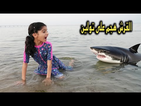 سمكة القرش هجمت على تولين !! مقلب خافت منه