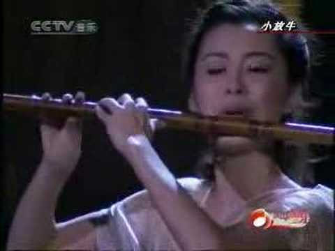 Chinese bamboo flute music：小放牛 Little Shepherd / 竹笛演奏：楊嵐