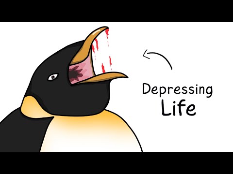 Why It Sucks to Be Born as an Emperor Penguin