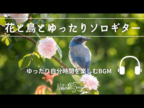 Natural Sonic 「 花と鳥とゆったりソロギター」 - ゆったり自分時間を楽しむBGM -