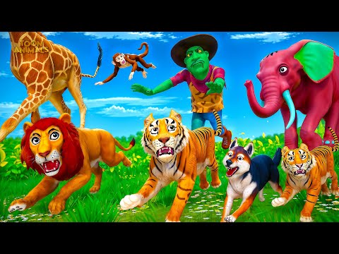 Epic Forest Escape: Wild Animals vs. Zombies - Thrilling Chase with Lions and Tigers!