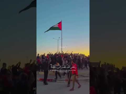 يومئذ يفرح المؤمنون بنصر الله | الان وقف اطلاق النار بغزة يدخل حيز التنفيذ | فلسطين 🇵🇸  #غزة #فلسطين