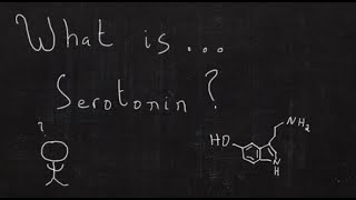 What is Serotonin? - One Minute Medical School