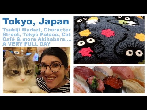 Tokyo Japan - Tsukiji Market, Character Street, Cat Cafe & MORE