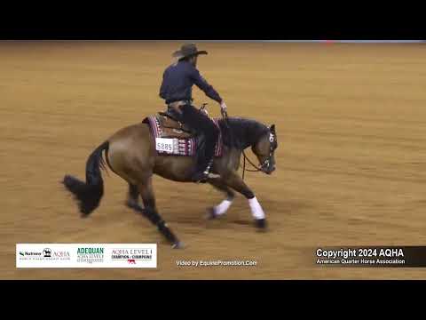 Junior Reining - 2024 AQHA World Championship Show