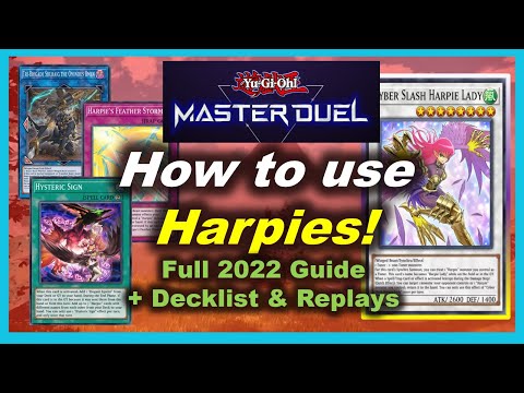 Harpie Lady Deck Profile! - Yugioh Master Duel - Full 2022 Guide with Decklist & Replays