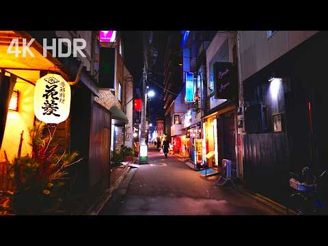 Tokyo’s Year-End Walk Exploring Alley Bars and Stunning Night Views | Monzennakachō, Koto City