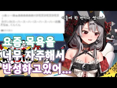 그걸 왜 반성하고 있는 건데 [ 홀로라이브/사카마타 클로에 ]