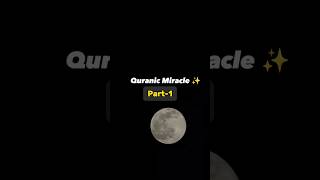 Quranic Miracle ✨#quran #miracle #quranicmiracles #trending #viral #shorts #youtubeshorts #allah #yt