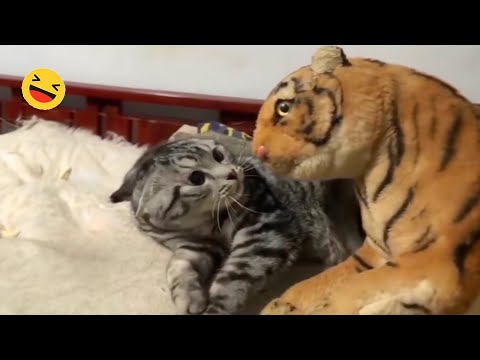 New Funny Animals 🐧 - Try not to laugh CATS And DOGS Video Compilation 😺🐶