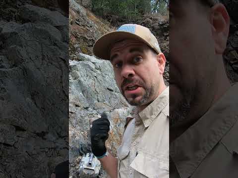 Visible Gold found while Prospecting #goldrush #mininglife #californiagold #gold #metaldetecting