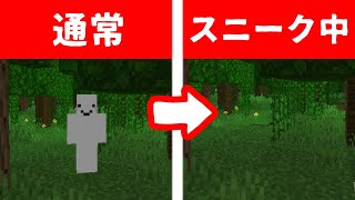 スニークすると透明になるスキン思いついたので配布【Win10/11対応】【4D+AnimationSkin】【v1.20.15 統合版】