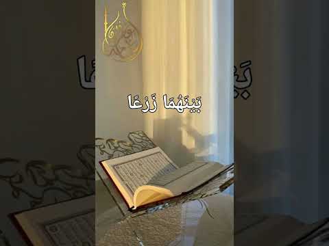 وَاضْرِبْ لَهُم مَّثَلًا رَّجُلَيْنِ | القارئ أسامة عطران