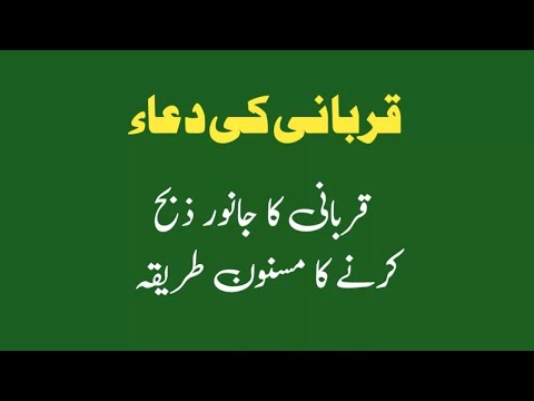 قربانی کاجانورذبح کرنےسےپہلےمسنون دعاپڑھ لیں