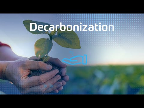 Full Portfolio for the Decarbonization of Road Transportation