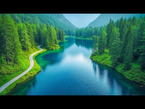 Calming Music, Healing music for the heart and blood vessels🌿Mind Relaxing #4