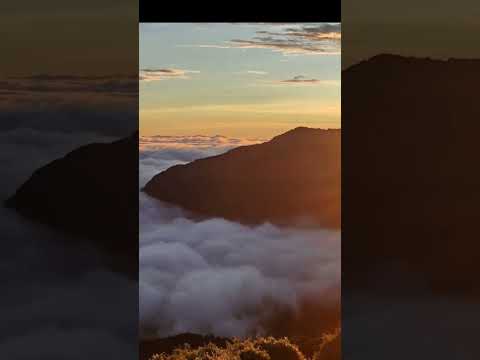 sea ​​of ​​clouds☁️🌥☁️☁️☁️☁️雲海 #beautifultaiwan